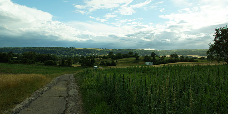 Bliesgau